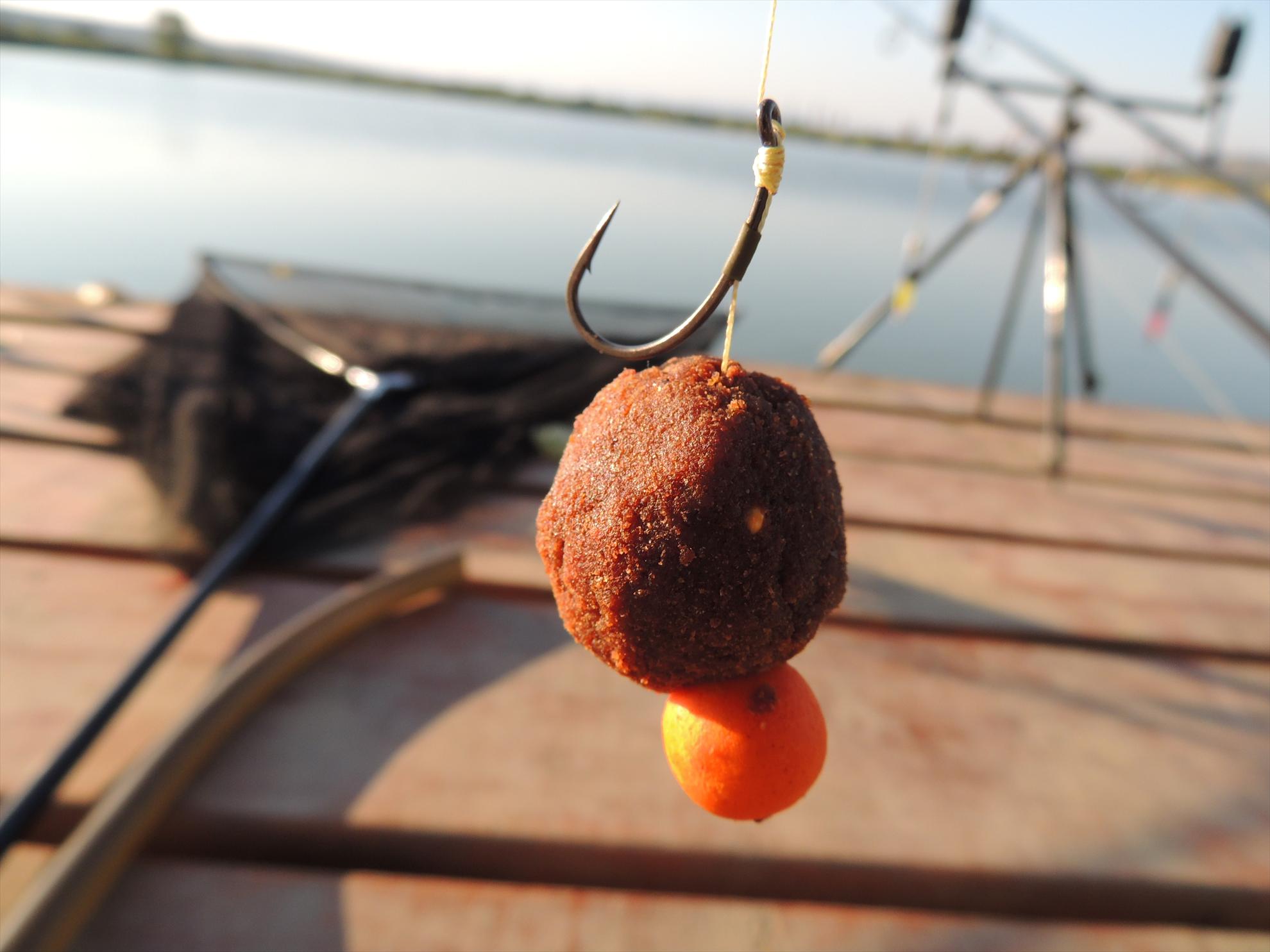 Pleasa - dscn0581.JPG